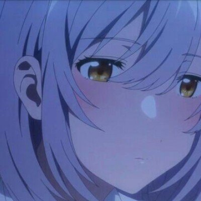 4只皮皮虾1035元
